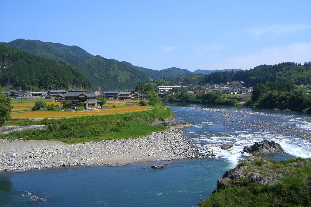 The Ayu of Nagara River System