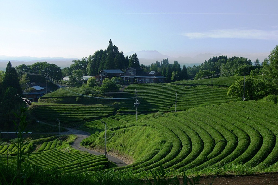 Takachihogo-Shiibayama Mountainous Agriculture and Forestry System